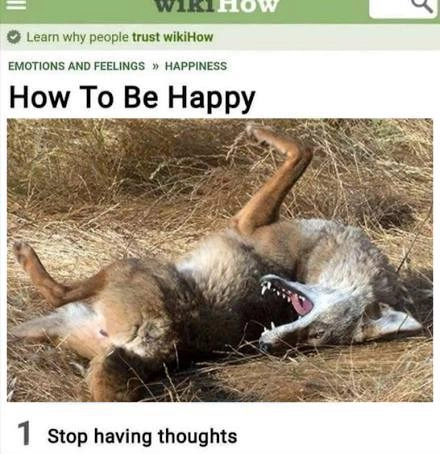 how to be happy: *picture of a coyote on its back* stop having thoughts